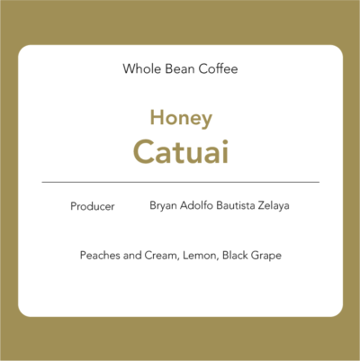 Catuai - Honey: Bryan Adolfo Bautista Zelaya